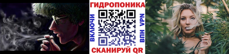 Купить закладки  Кудымкар  Бошки Шишки семена 